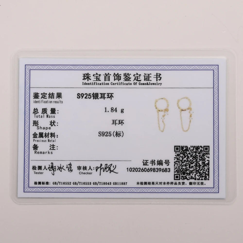 Boucles d’Oreilles « Chaîne Élégante » en Argent 925 – Style Long & Raffiné ✨